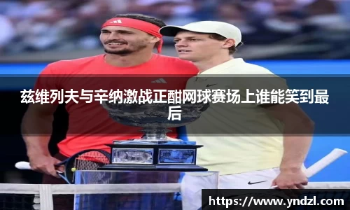 兹维列夫与辛纳激战正酣网球赛场上谁能笑到最后