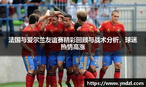 法国与爱尔兰友谊赛精彩回顾与战术分析，球迷热情高涨