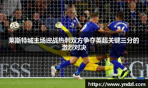 莱斯特城主场迎战热刺双方争夺英超关键三分的激烈对决